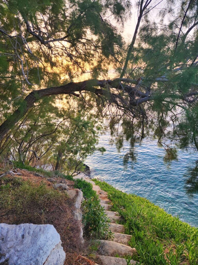 The Quiet Edge Retreat
